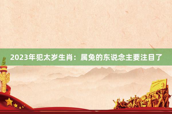 2023年犯太岁生肖：属兔的东说念主要注目了